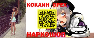 шишки Донской