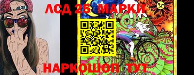 молекула духа Донецк