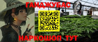 шишки Донской