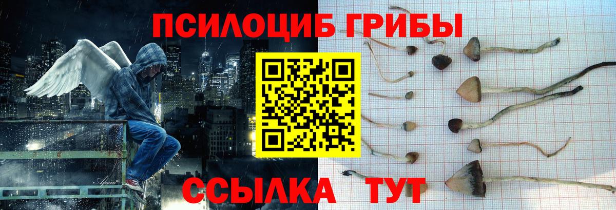 Псилоцибиновые грибы MAGIC MUSHROOMS  Вход с VPN  Мурманск  Псилоцибиновые грибы мухоморы 