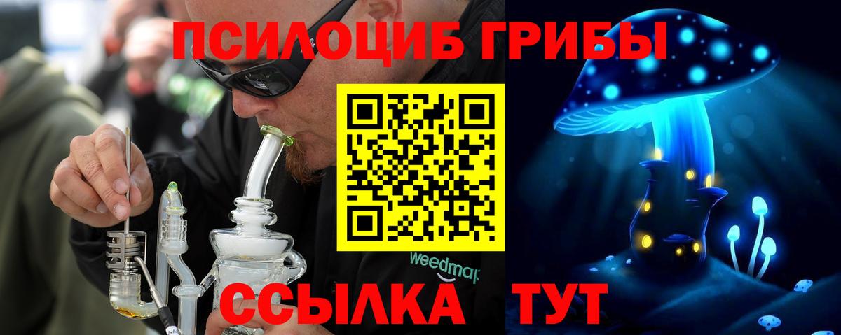 Галлюциногенные грибы Cubensis Мурманск
