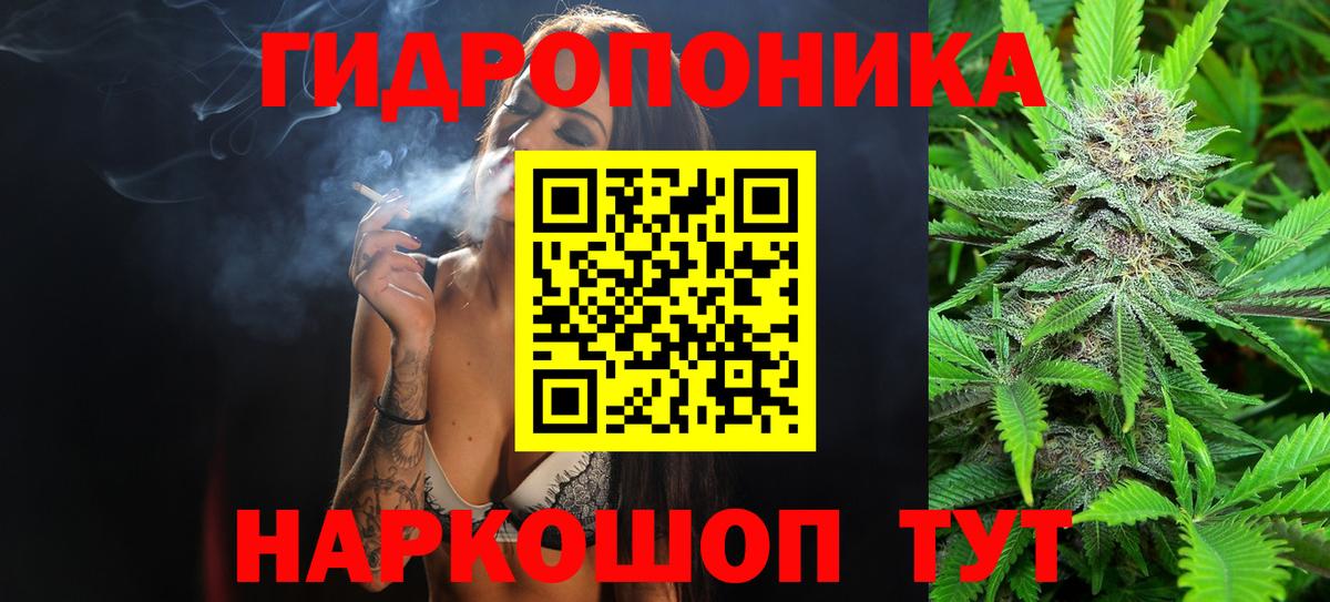 Конопля ГИДРОПОН  Вход с VPN  Шишки марихуана ГИДРОПОН  Бошки Шишки White Widow  Мурманск  Канабис тримм 